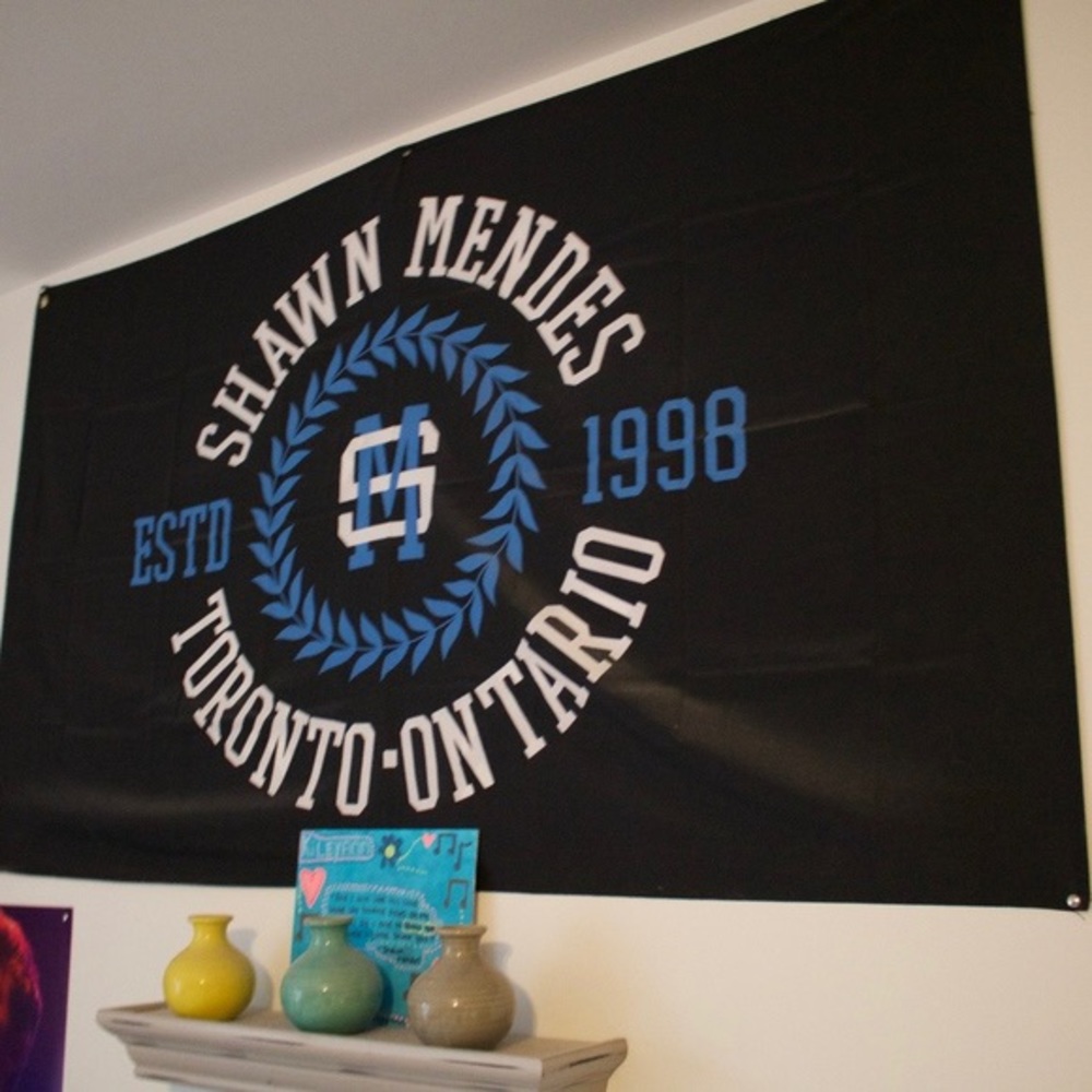 Shawn Mendes Flag